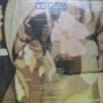 Zizi Possi - Pedaço de Mim Encarte