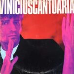Vinícius Cantuária - Sutis Diferenças encarte