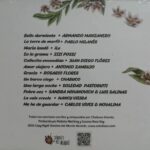 Vários Artistas - A Chabuca (Dos) encarte