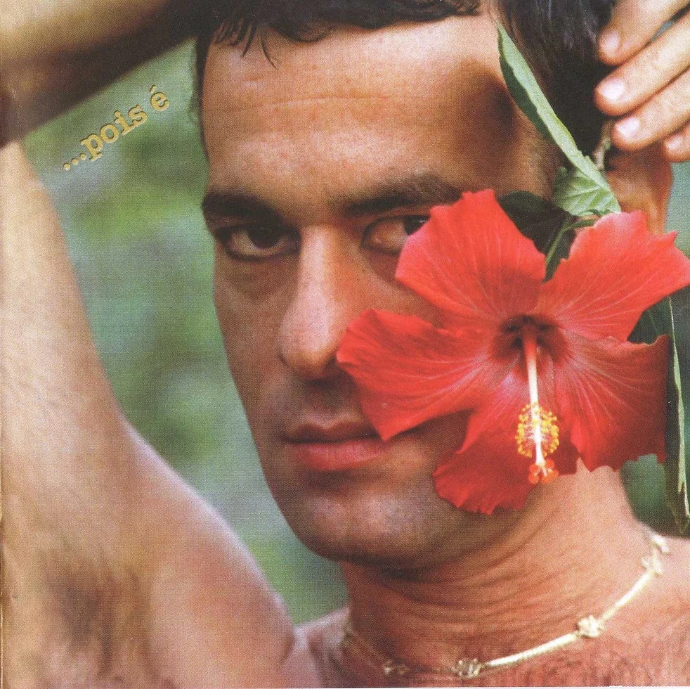 Ney Matogrosso - …Pois É encarte