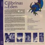 Cilibrinas Do Éden - Cilibrinas Do Éden encarte